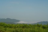 201107017_0013.JPG