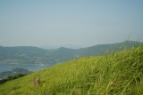 201107017_0059.JPG