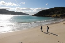 ????????????????????????????????????