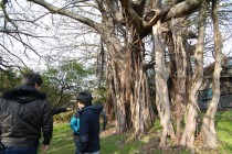 ????????????????????????????????????